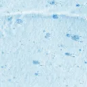 D2S website_3f cleansing water 1.webp