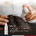 D2S FB 04 APR_06.webp